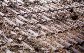 Dores roof cleaning companies