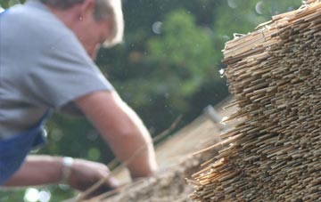 professional Dores thatchers