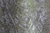 Dores fibreglass roof work