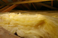 Dores pitch roof insulation